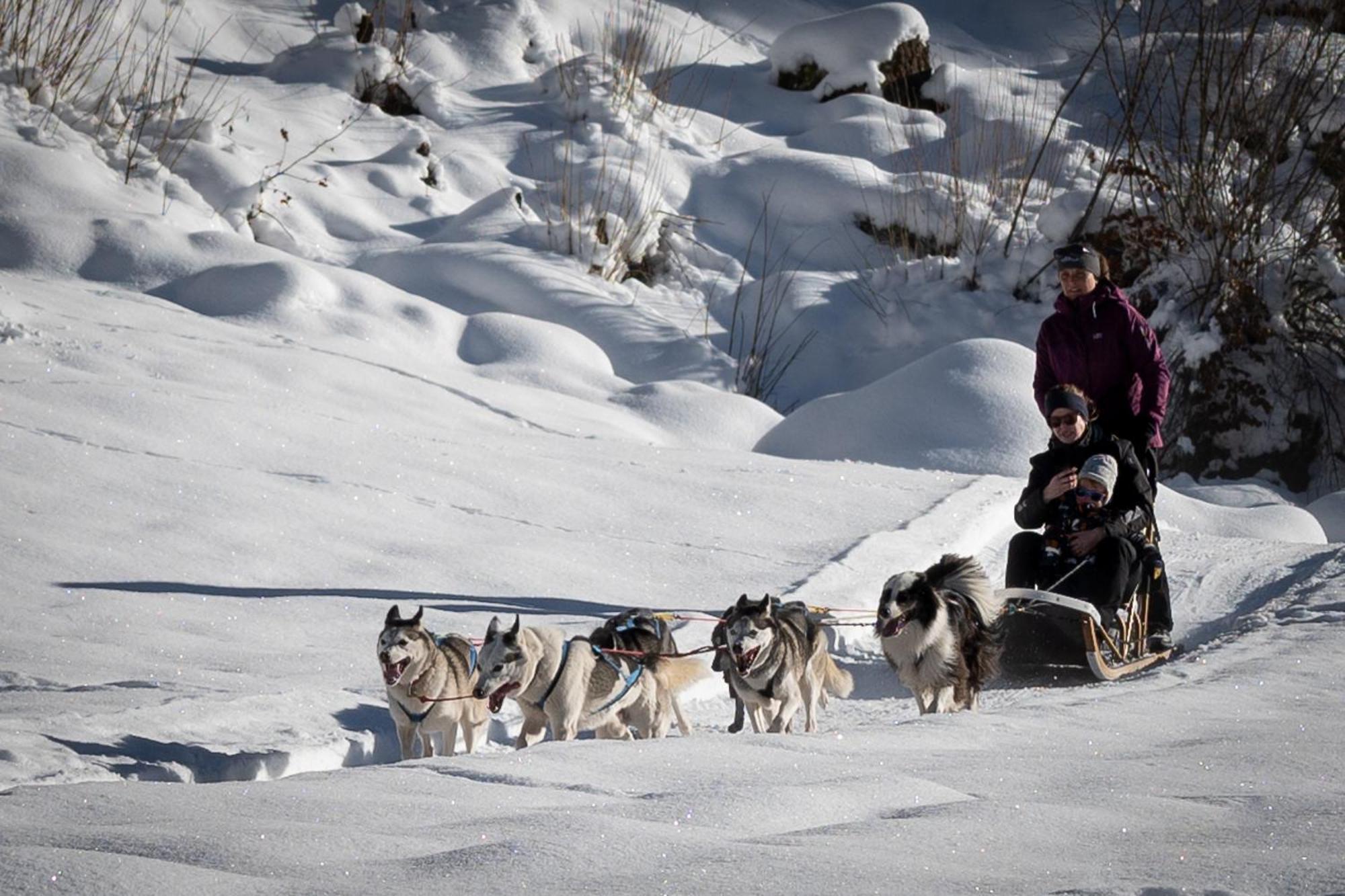 Huettenhotel Husky Lodge Muotathal Екстер'єр фото
