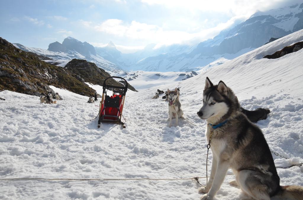 Huettenhotel Husky Lodge Muotathal Екстер'єр фото
